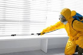 Best Indoor Pest Control  in Gorman, TX